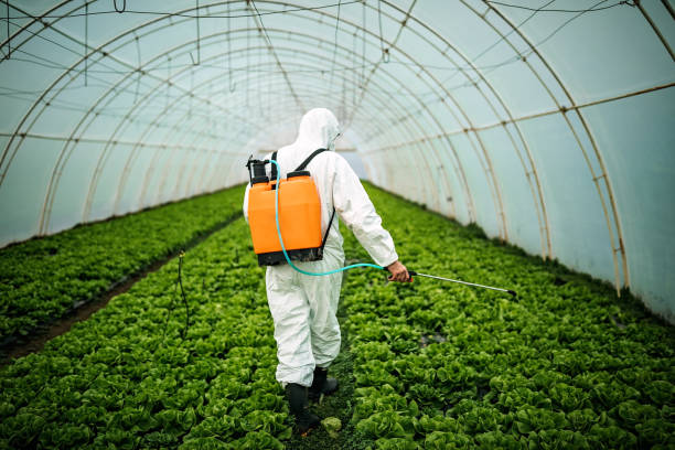 Best Pest Control Near Me in Averill Park, NY