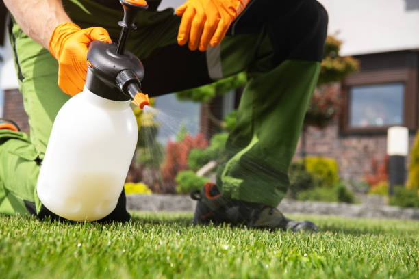 Pest Control for Restaurants in Averill Park, NY