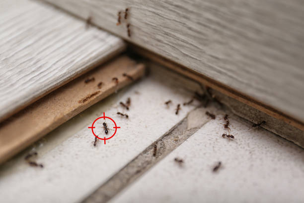 Best Wildlife Control Services  in Averill Park, NY