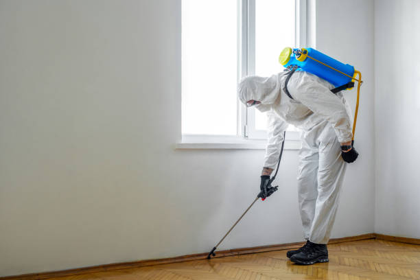 Best Flea Control Services  in Averill Park, NY