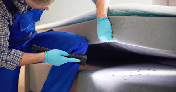 Best Pest Prevention Services  in Averill Park, NY