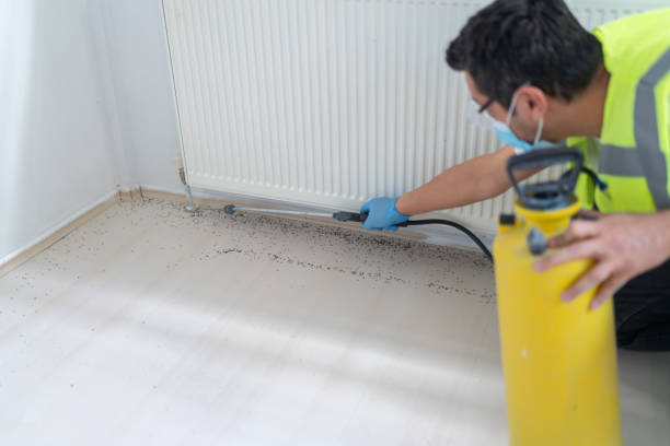 Reliable Averill Park, NY Pest Control Solutions