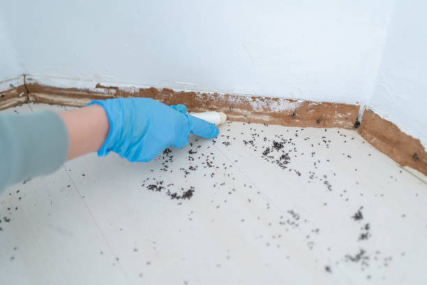 Pest Prevention Services in Averill Park, NY